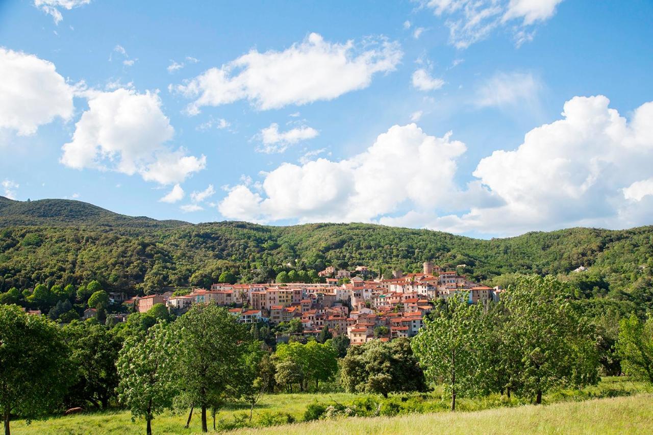 فندق Le Roussillon Amélie-les-Bains-Palalda المظهر الخارجي الصورة
